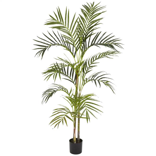 4' Areca Palm Silk Tree