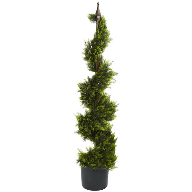 4' Cypress Spirial Silk Tree