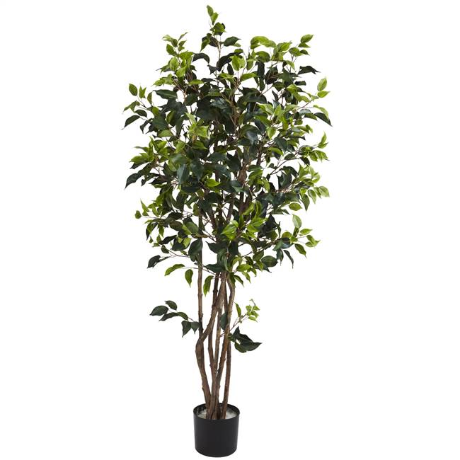 5' Ficus Bushy Silk Tree