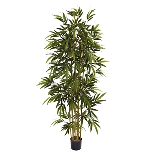 6' Bamboo Tree