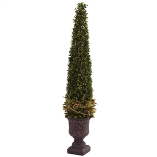 Mixed Golden Boxwood & Holly Topiary w/Urn