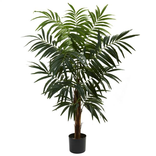 4.5’ Bulb Areca Tree
