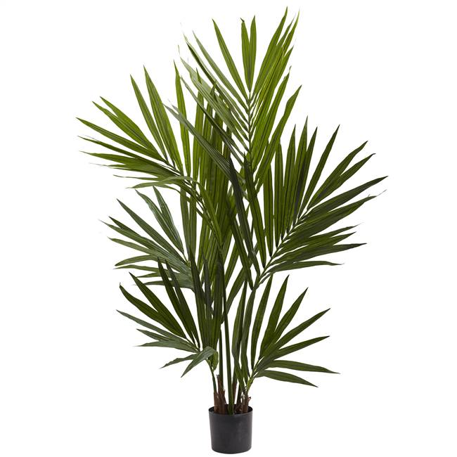 4' Kentia Palm Silk Tree