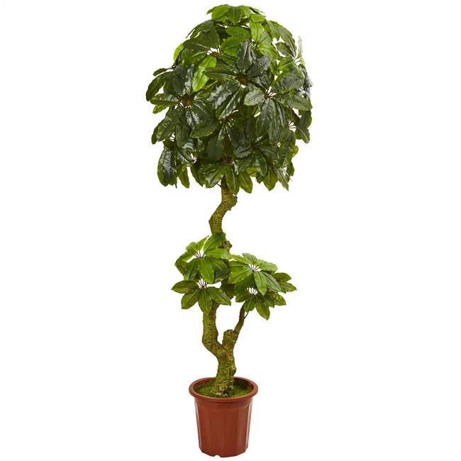 6' Schefflera Artificial Tree UV Resistant (Indoor/Outdoor)