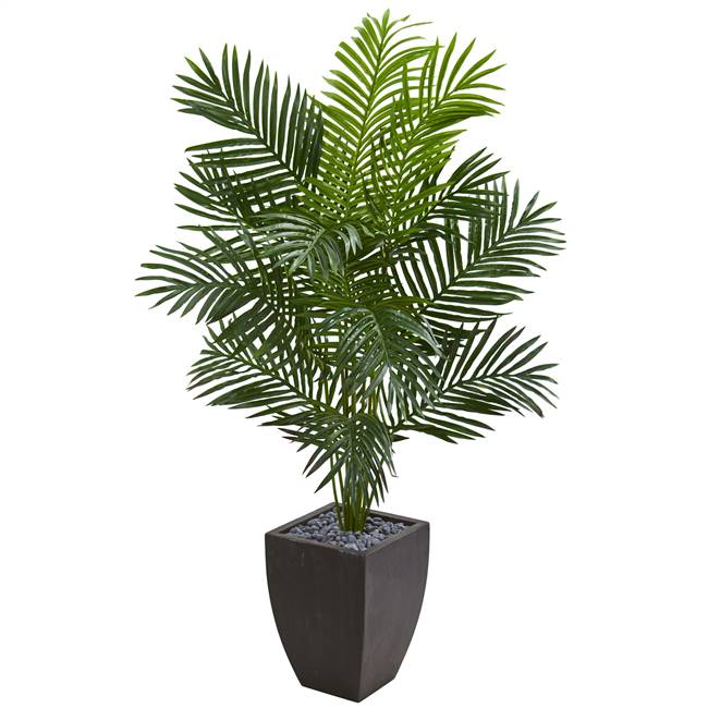 5.5' Paradise Artificial Palm Tree in Black Planter