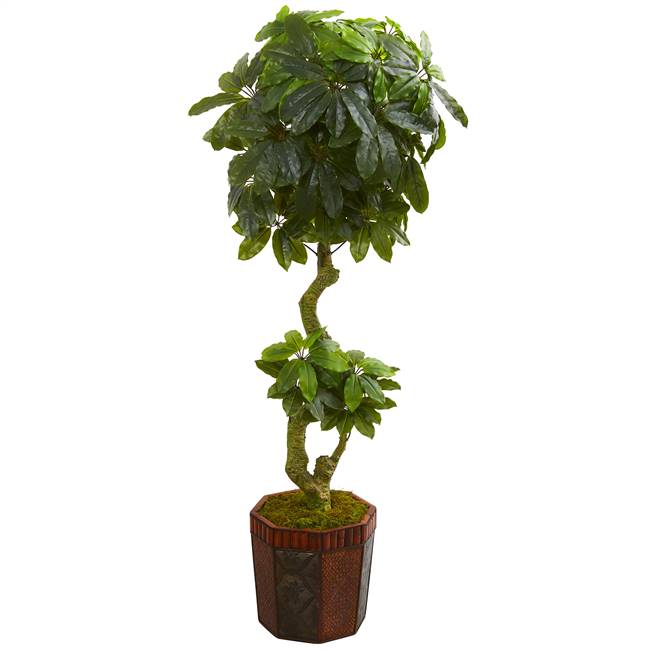 6' Schefflera Artificial Tree in Bamboo Planter