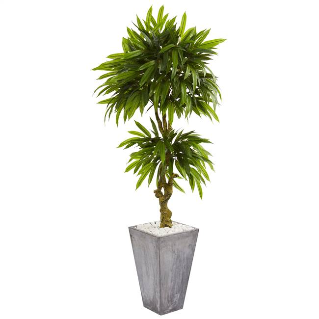 5.5’ Mango Artificial Tree in Concrete Planter UV Resistant (Indoor/Outdoor)