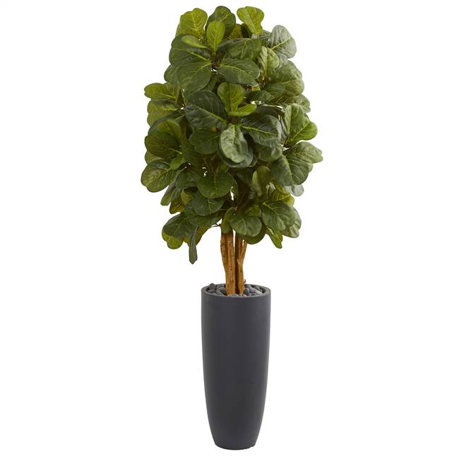 5.5’ Fiddle Leaf Artificial Tree in Gray Cylinder Planter