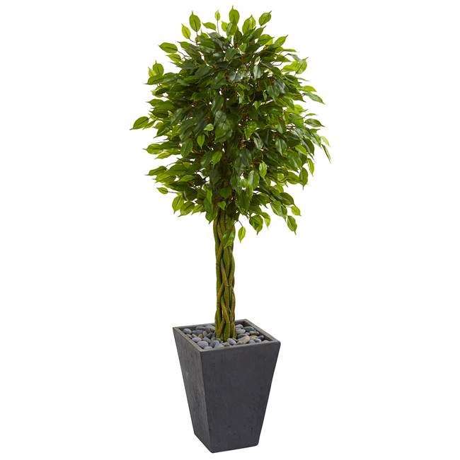 5’ Braided Ficus Artificial Tree in Slate Planter UV Resistant (Indoor/Outdoor)