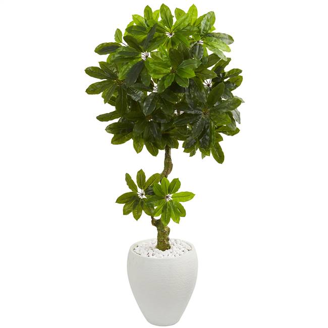 5.5' Schefflera Artificial Tree in White Planter UV Resistant (Indoor/Outdoor)