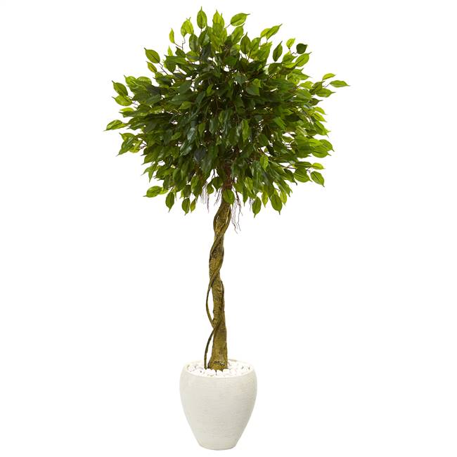 5.5’ Ficus Artificial Tree in White Oval Planter UV Resistant (Indoor/Outdoor)