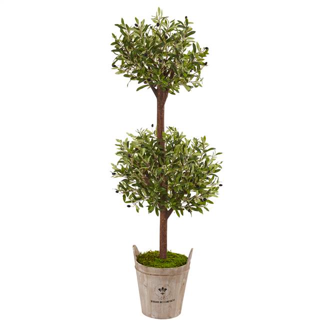 5’ Olive Tree in Farmhouse Planter