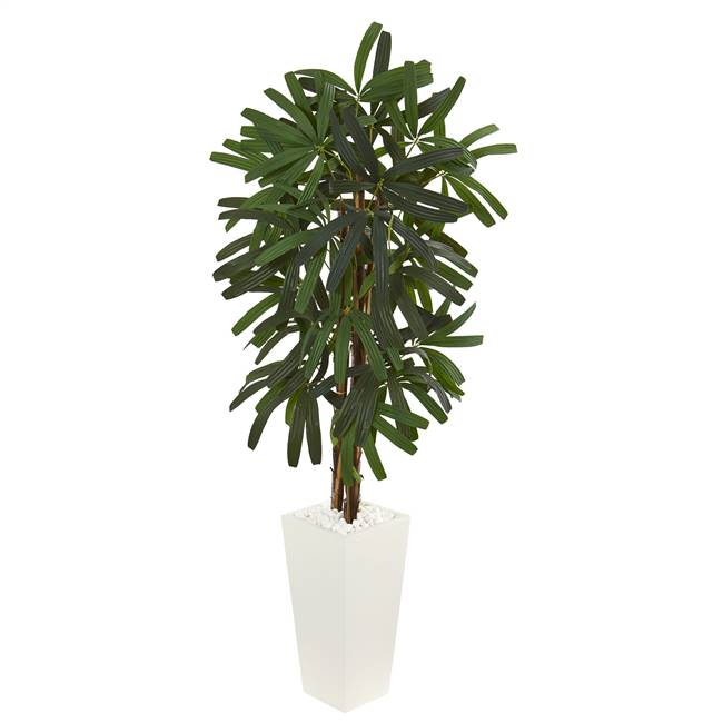 5.5' Raphis Palm Artificial Tree in White Tower Planter
