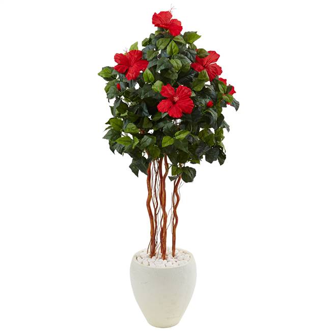 4.5’ Hibiscus Tree in White Oval Vase