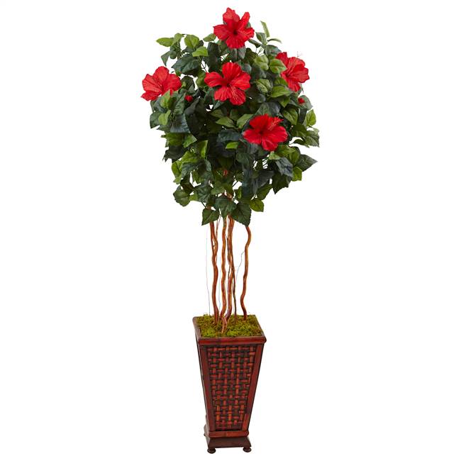5’ Hibiscus Tree in Decorated Wooden Planter