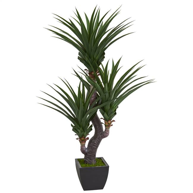 6' Dracaena Artificial Plant with Black Planter