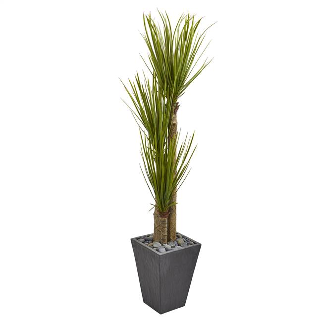 5.5’ Triple Stalk Yucca Artificial Plant in Slate Planter