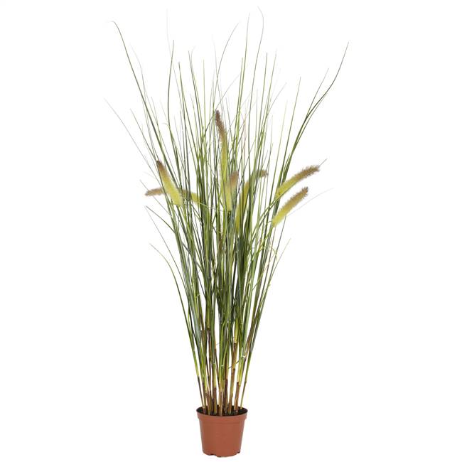 2.5' Grass Plant