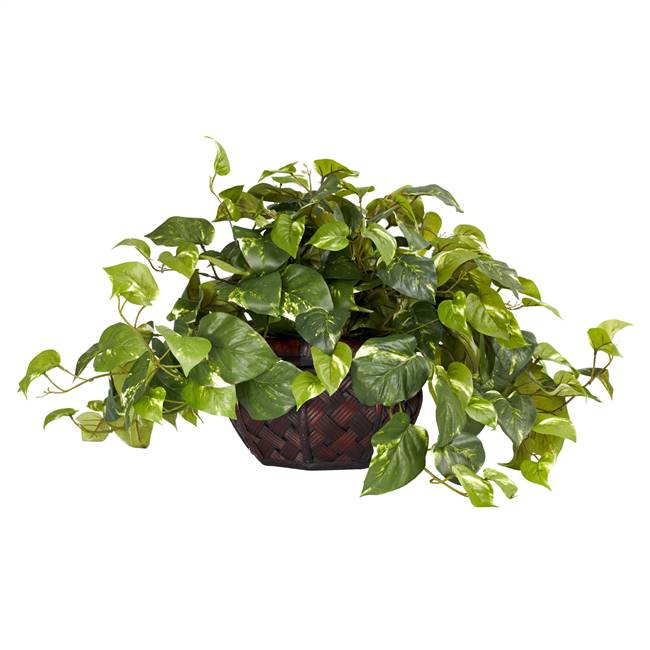 Pothos w/Decorative Vase Silk Plant (Same as 6635)