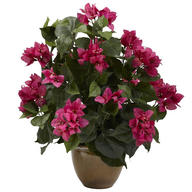 Bougainvillea w/Ceramic Vase