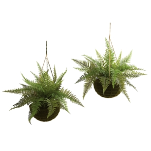 Leather Fern w/Mossy Hanging Basket (Indoor/Outdoor) (Set of 2)