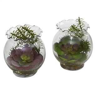 Succulent w/Fluted Vase (Set of 2)