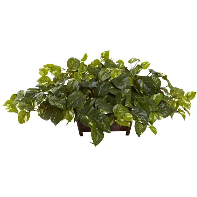 Pothos w/Rectangle Decorative Planter