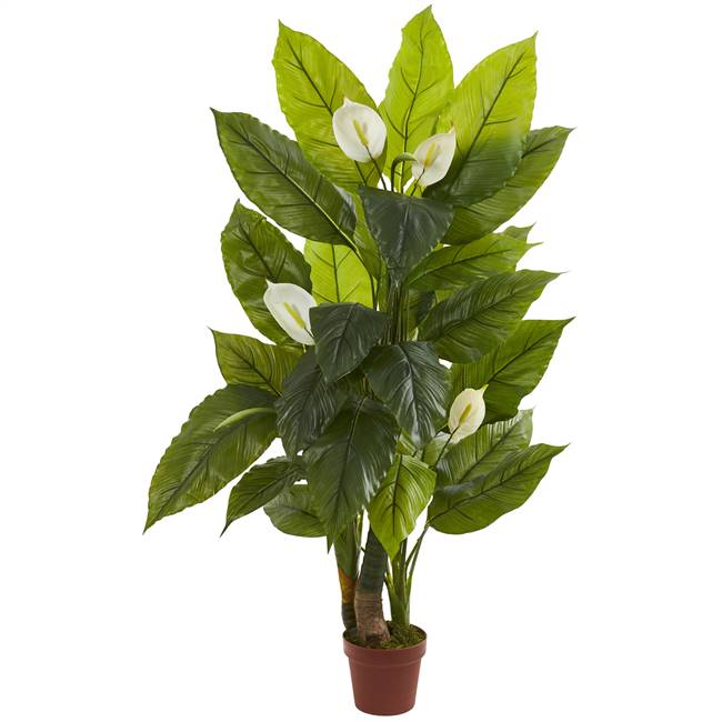 4.5’ Spathyfillum Plant (Real Touch)