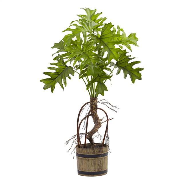 Split Philo Plant w/Bucket Planter