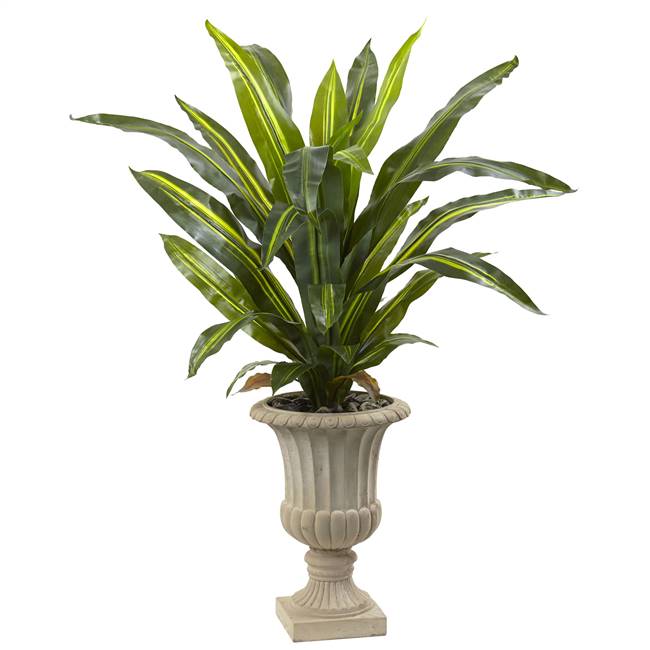 5’ Dracaena Plant with Urn (Real Touch)
