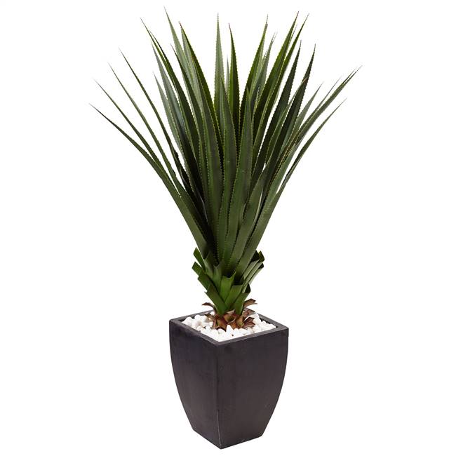 4.5’ Spiked Agave in Black Planter (Indoor/Outdoor)