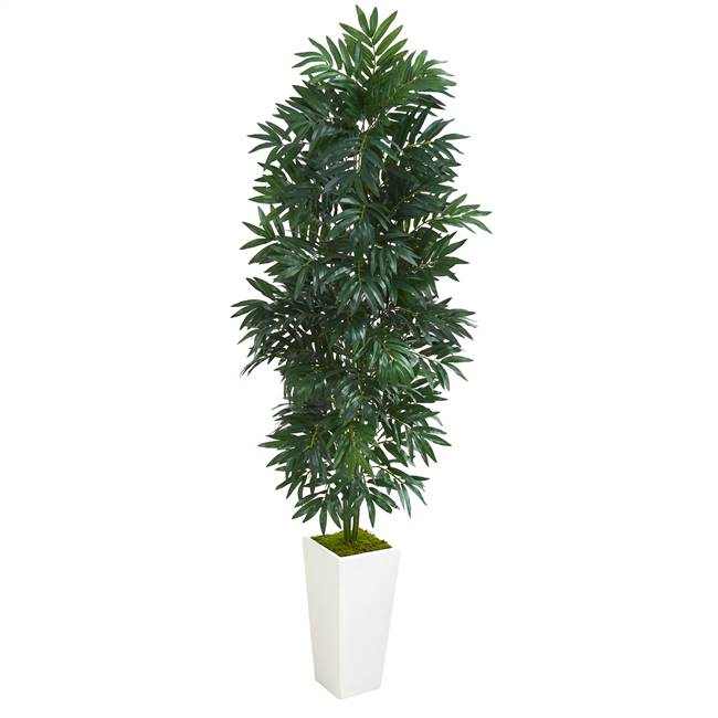 5' Bamboo Palm Artificial Plant in White Planter