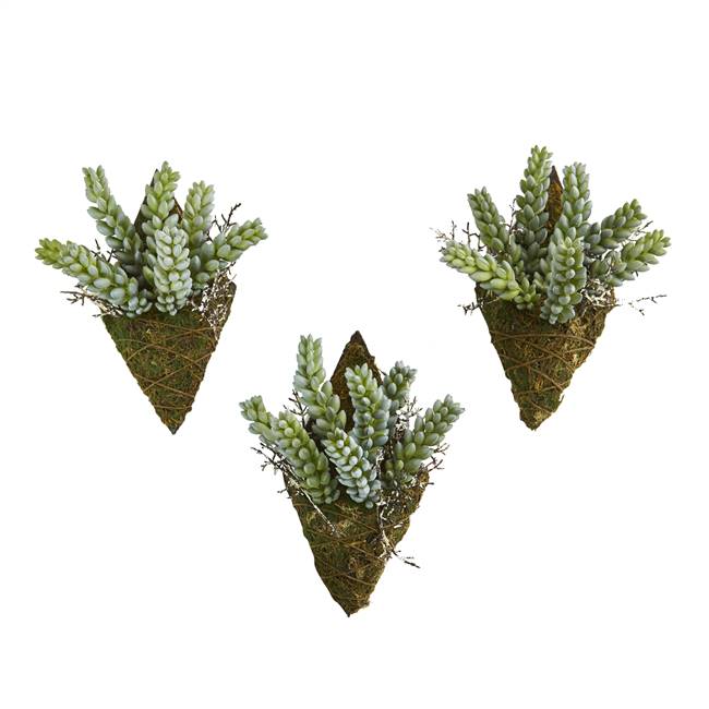 8” Sedum Succulent Artificial Wall Decor Plant (Set of 3)