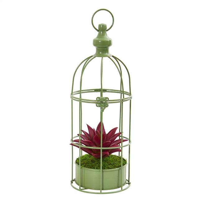 15” Succulent Artificial Plant in Decorative Cage