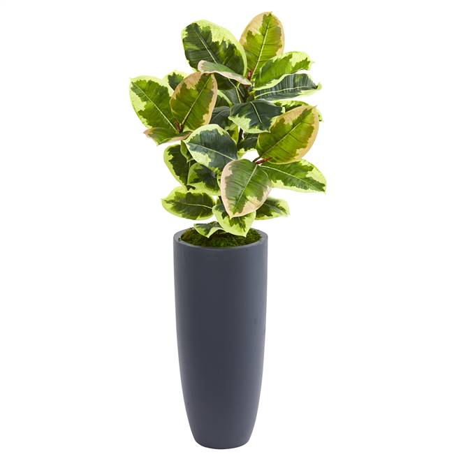 35” Rubber Leaf Artificial Plant in Gray Planter (Real Touch)