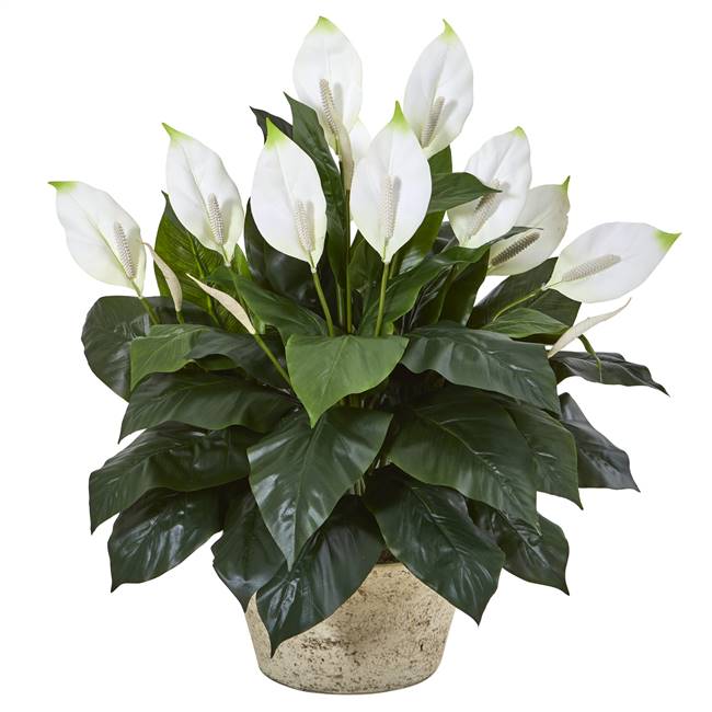 35” Spathifyllum Artificial Plant in White Planter