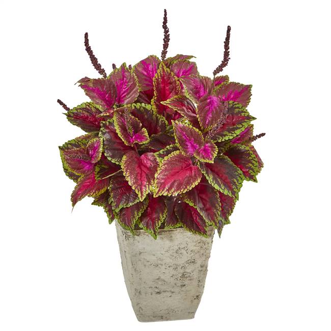 34” Coleus Artificial Plant in Country White Planter