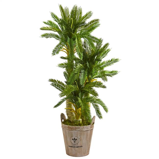 4’ Triple Cycas Artificial Plant in Farmhouse Planter