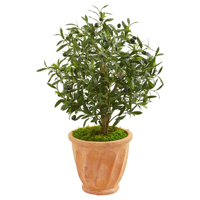 34” Olive Artificial Tree in Terra Cotta Planter
