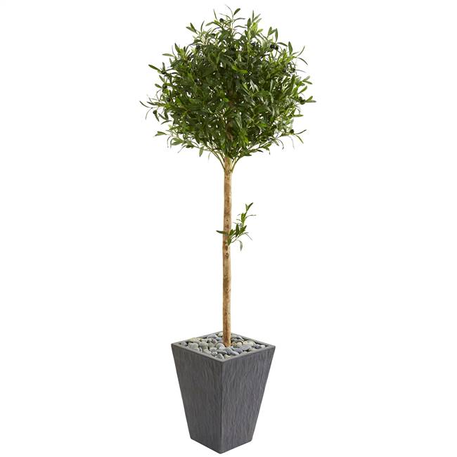5.5’ Olive Topiary Artificial Tree in Slate Planter