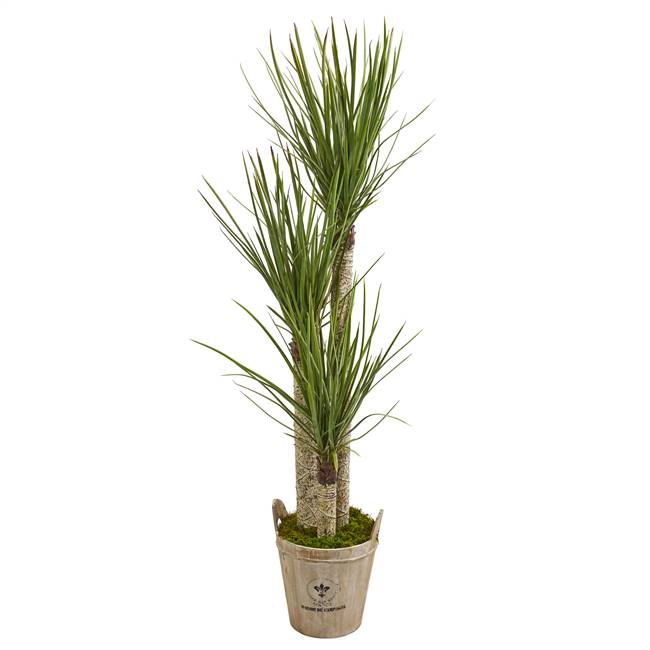 5’ Yucca Artificial Tree in Farmhouse Planter