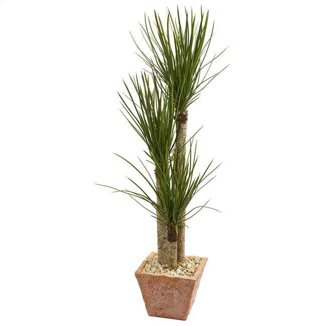 5’ Yucca Artificial Tree in Terra Cotta Planter