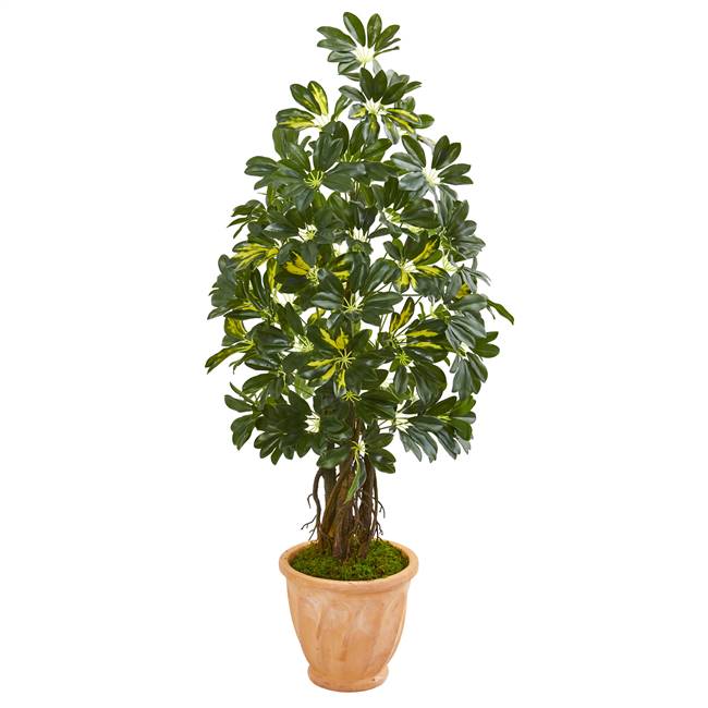 4.5’ Schefflera Artificial Tree in Terra Cotta Planter