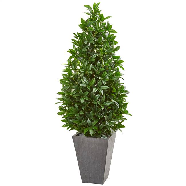 57” Bay Leaf Cone Topiary Tree in Slate Planter UV Resistant (Indoor/Outdoor)