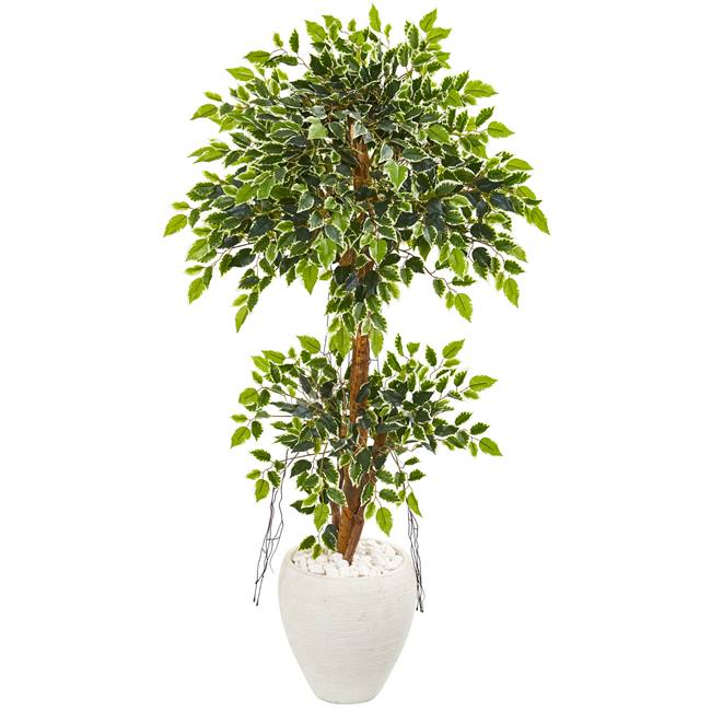 56” Variegated Ficus Artificial Tree in White Planter