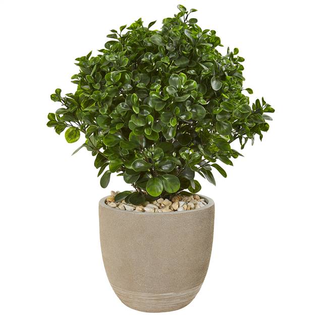 30” Peperomia Artificial Plant in Sand Stone Planter UV Resistant (Indoor/Outdoor)