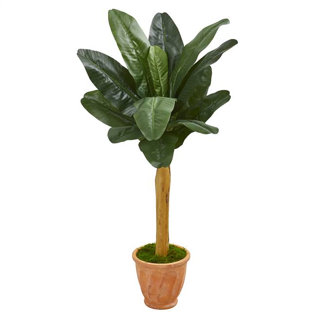 57” Banana Artificial Tree in Terra Cotta Planter