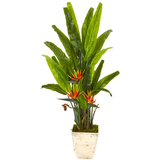 59” Bird of Paradise Artificial Plant in Country White Planter