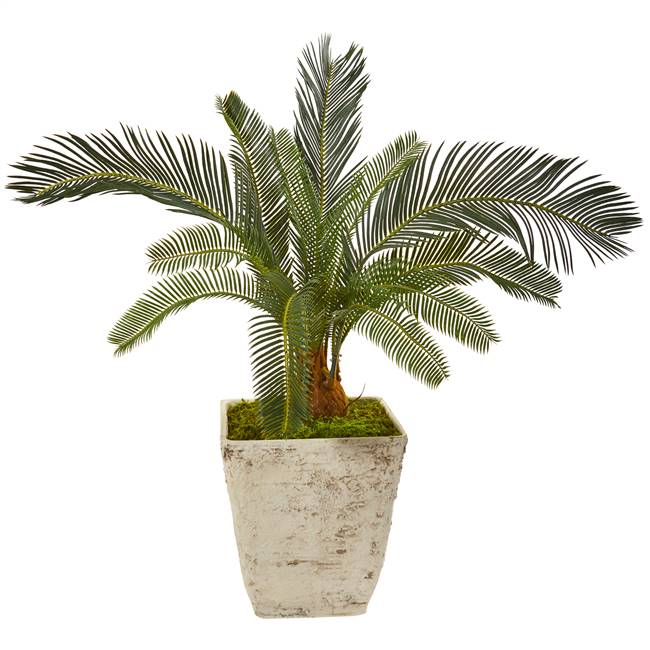 31” Cycas Artificial Plant in White Planter