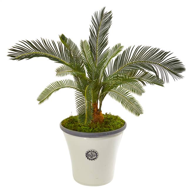 33” Cycas Artificial Plant in White Planter